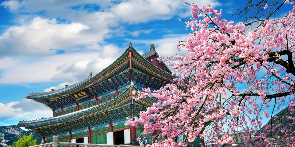 contractor agreement template in south korea